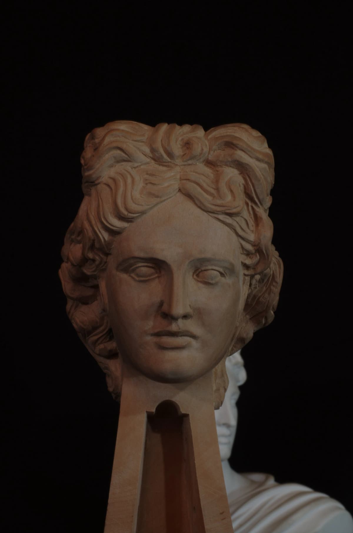 Handcrafted instrument by Ivo Iuliano