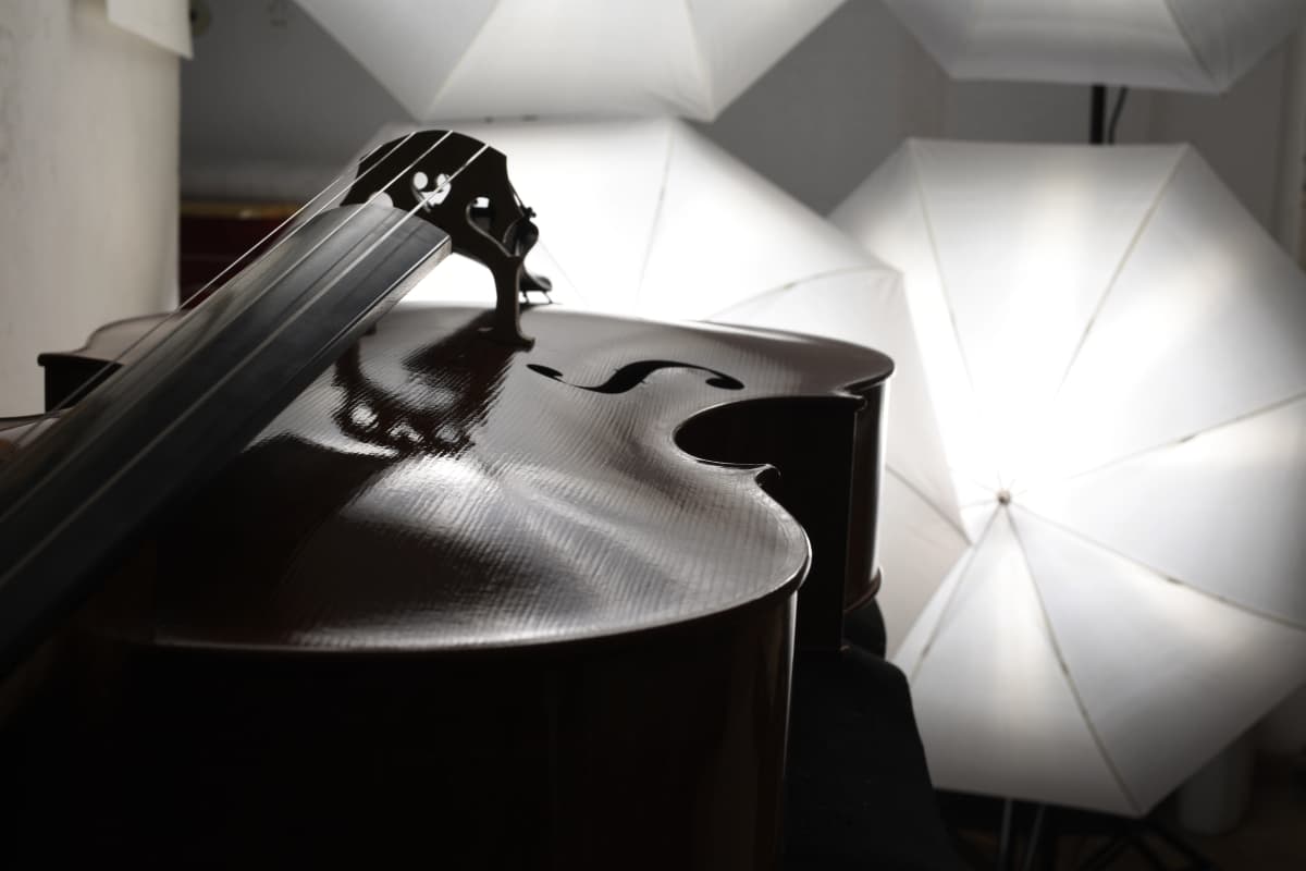 Violin by Ivo Iuliano